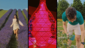Exploring Canada and USA Through Slow Travel - 6 Months of Adventure - Travel Vlog - Lavender Fields in Ontario - Planetarium of Montreal - Berry Picking in Ontario - MyTravelLetters