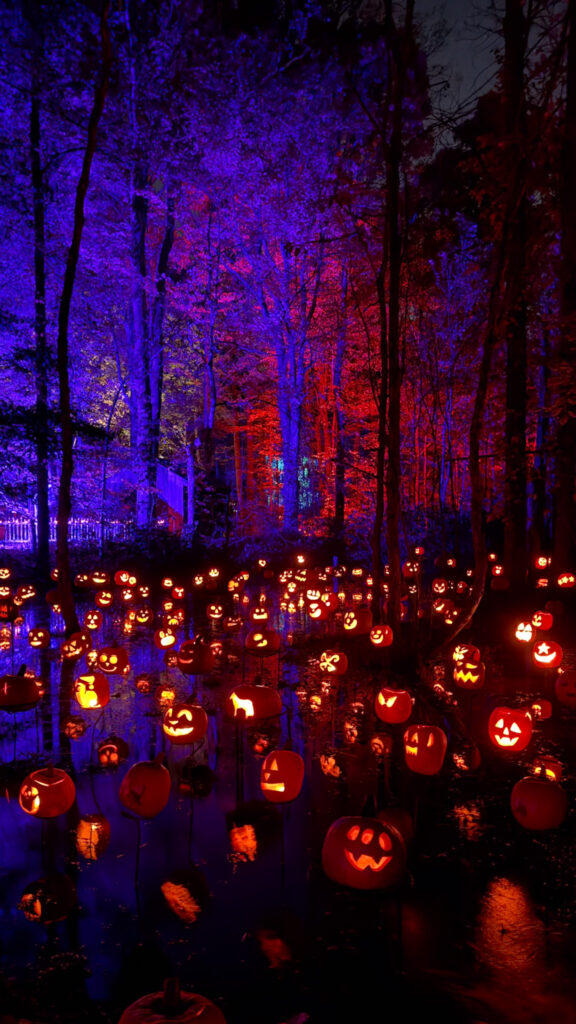 Halloween trail - Halloween fair - Hidden gems in Ohio - Lorain County Metro Parks Halloween Fair - Jack O'Lanters