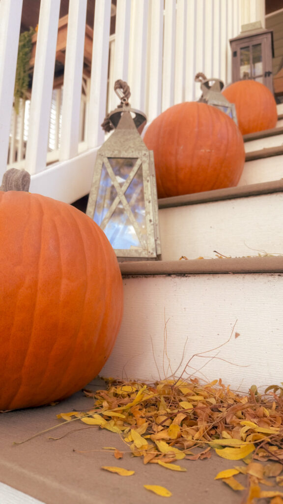 Bowmanville - Fall foliage in Chicago - The 4 best spots - Pumpkin - Halloween street decoration