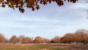 Promontory Point - Autumn - The 4 best spots to watch the fall foliage in Chicago