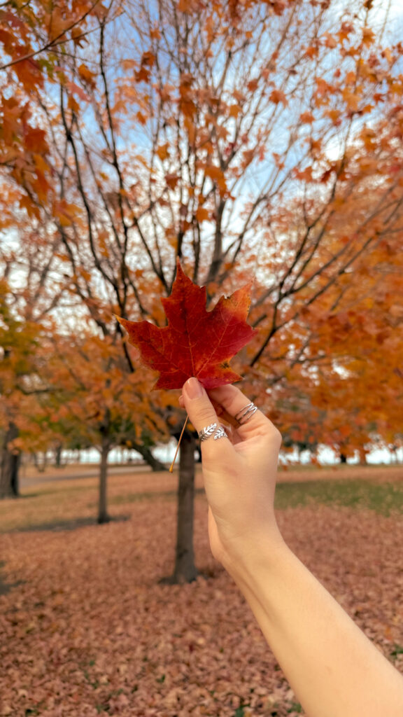 Promontory Point - Fall hues - The 4 best spots to watch the fall foliage in Chicago