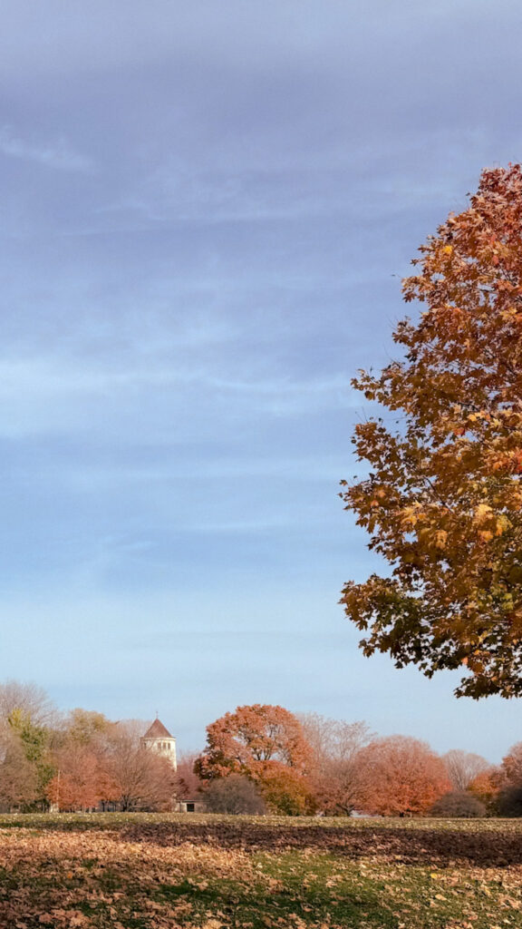 Promontory Point during Autumn - The 4 best spots to watch the fall foliage in Chicago