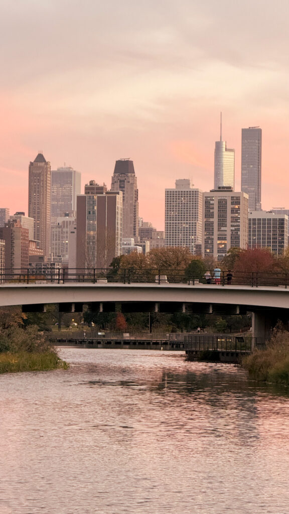 The Honeycomb - Lincoln Park during Sunset - Chicago
