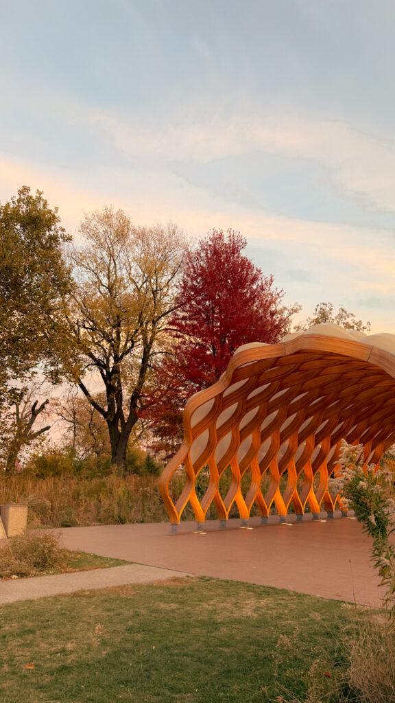 The Honeycomb - Lincoln Park during Sunset - Fall foliage in Chicago